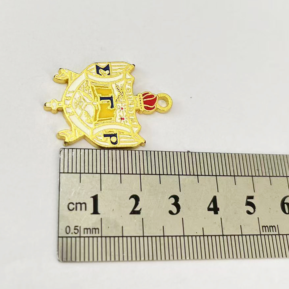 10pcs Sigma Gamma Rho Universi - Jewelry Making University 评论和价格