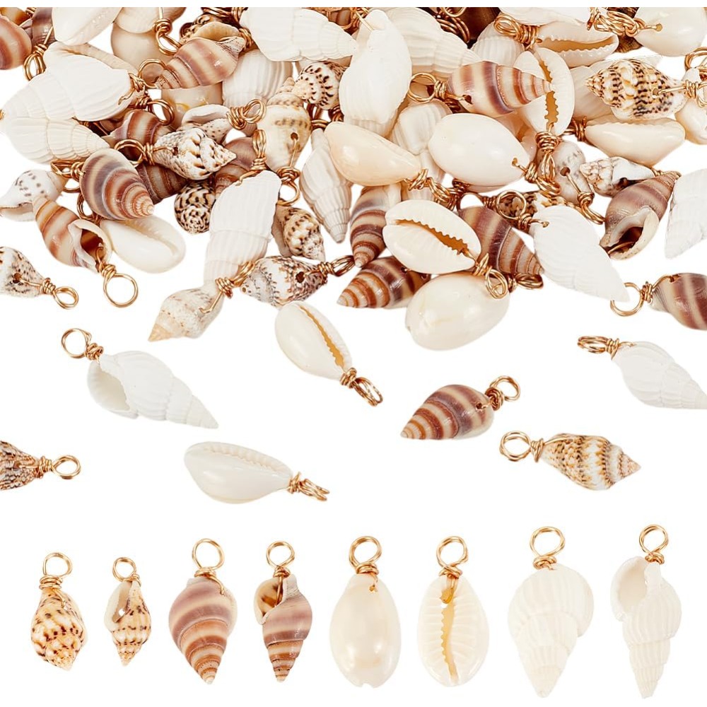 100pcs 4 Styles Natural Shell  - Jewelry Making Kits 评论和价格
