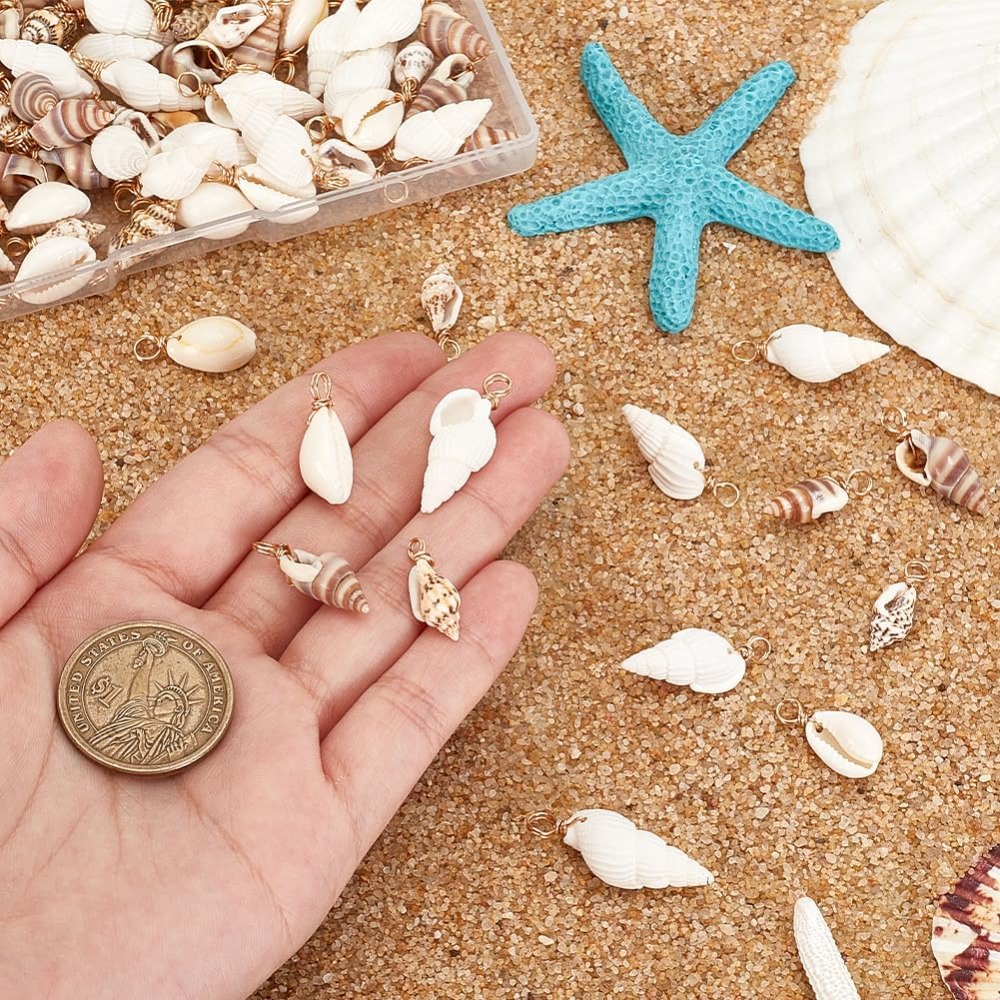 100pcs 4 Styles Natural Shell  - Jewelry Making Kits 评论和价格